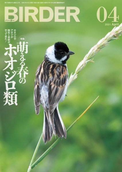 BIRDER（バーダー） 2021年4月号 (発売日2021年03月16日) 表紙