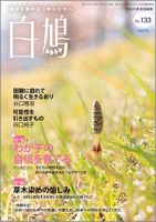 白鳩 No.133 表紙