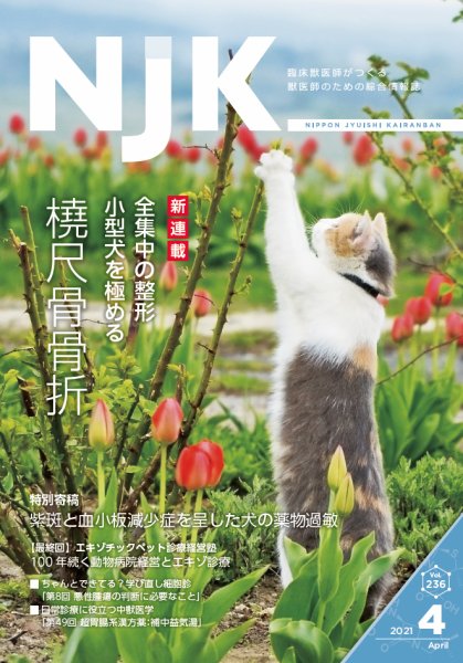 NJK Vol.236 (発売日2021年04月01日) 表紙