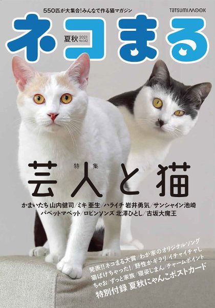 ネコまる 夏秋号 vol.42 (発売日2021年05月21日) 表紙