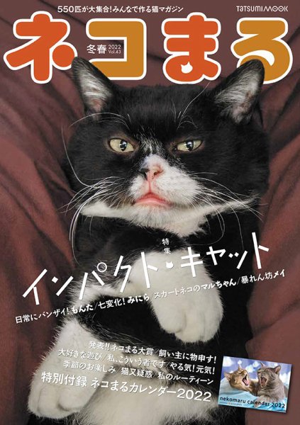 ネコまる 冬春号 vol.43 (発売日2021年11月20日) 表紙