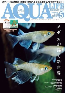 雑誌 定期購読の予約はfujisan 雑誌内検索 作出 がアクアライフの21年04月09日発売号で見つかりました