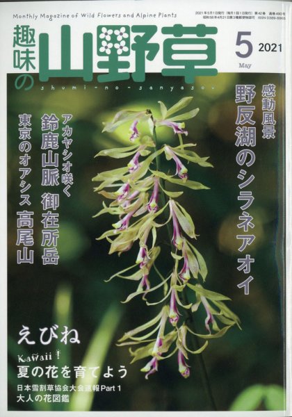 趣味の山野草 2021年5月号 (発売日2021年04月12日) 表紙