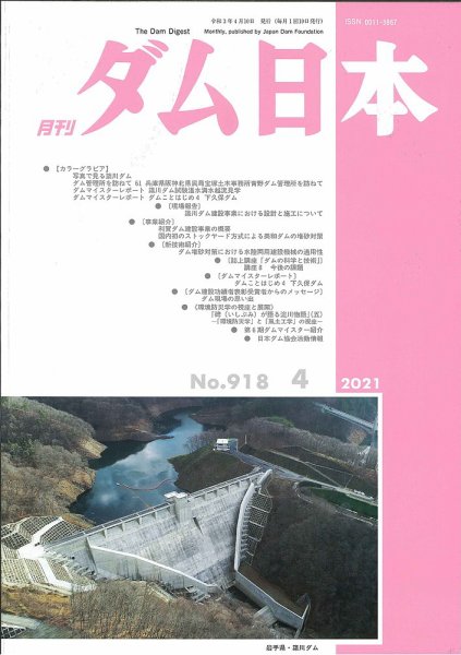 ダム日本 No.918 (発売日2021年04月10日) 表紙