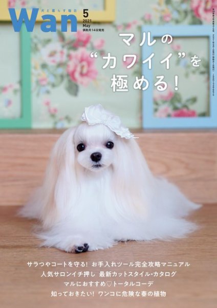wan（わん） 2021年5月号 (発売日2021年04月14日) 表紙
