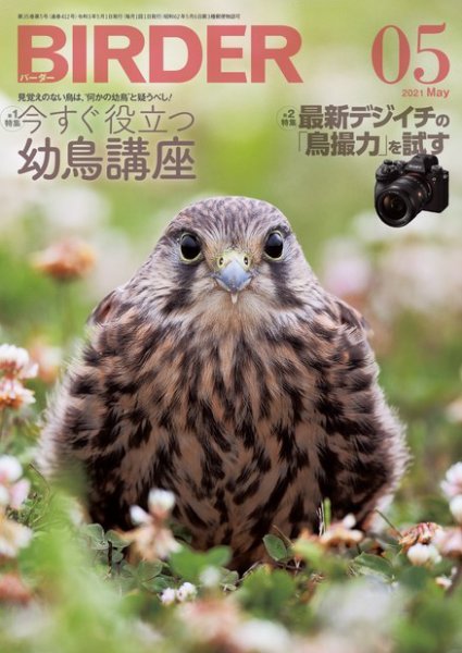 BIRDER（バーダー） 2021年5月号 (発売日2021年04月16日) 表紙