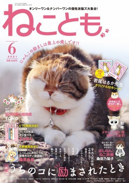 ねことも 2021年6月号 (発売日2021年04月16日) 表紙