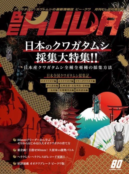 BE-KUWA（ビークワ） 80 (発売日2021年07月10日) 表紙