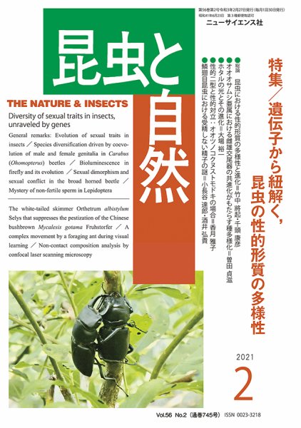 昆虫と自然 2021年2月号 (発売日2021年01月22日) 表紙