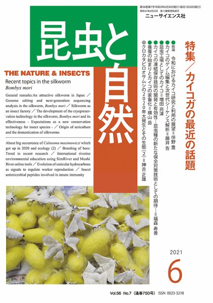 昆虫と自然 2021年6月号 (発売日2021年05月21日) 表紙