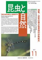 昆虫と自然 2021年11月号 表紙