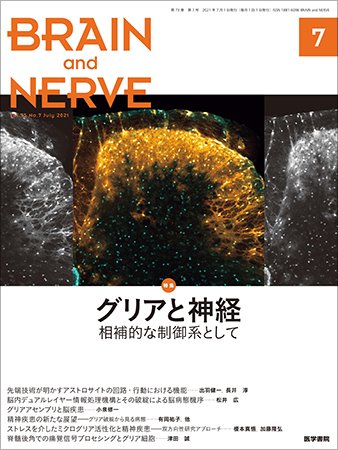 BRAIN and NERVE（ブレインアンドナーブ） Vol.73 No.7 (発売日2021年07月01日) 表紙