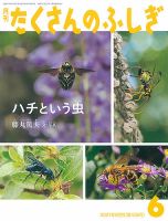 たくさんのふしぎ 2021年6月号 表紙