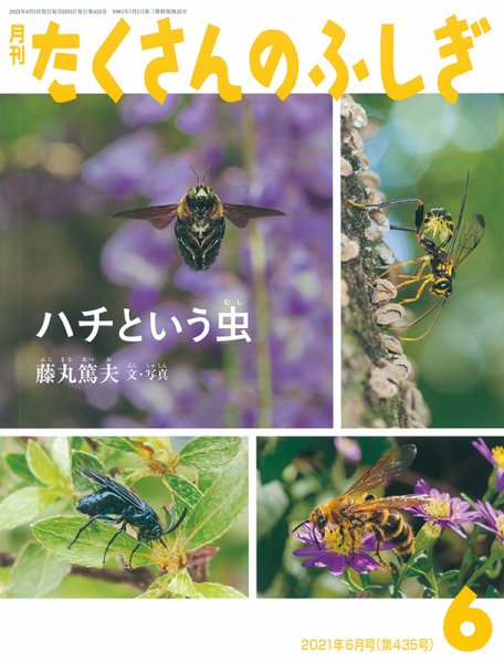 たくさんのふしぎ 2021年6月号 (発売日2021年05月01日) 表紙