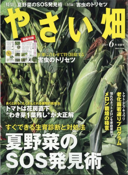 やさい畑 2021年6月号 (発売日2021年05月01日) 表紙