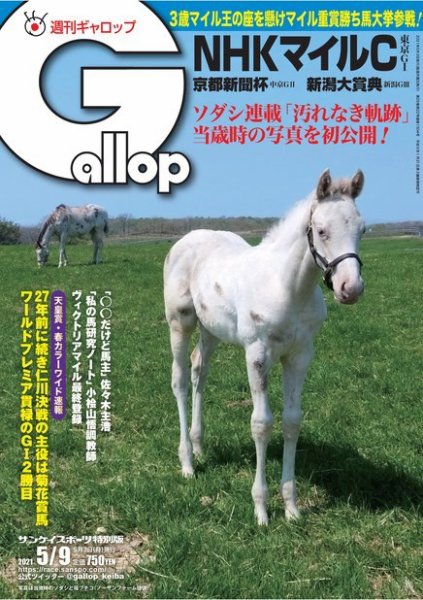 週刊Gallop（ギャロップ） 2021年5月9日号 (発売日2021年05月04日) 表紙