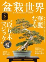 盆栽世界 2021年6月号 表紙