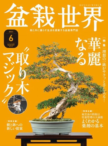 盆栽世界 2021年6月号 (発売日2021年05月01日) 表紙