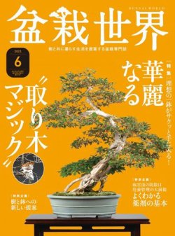 盆栽世界 2021年6月号 (発売日2021年05月01日) 表紙