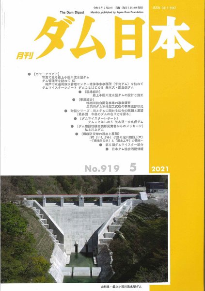 ダム日本 No.919 (発売日2021年05月10日) 表紙