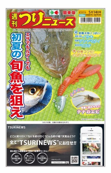 週刊つりニュース　関東版 2021年5月14日号 (発売日2021年05月10日) 表紙