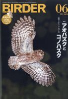 BIRDER（バーダー） 2021年6月号 表紙