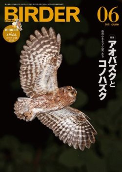 BIRDER（バーダー） 2021年6月号 (発売日2021年05月14日) 表紙