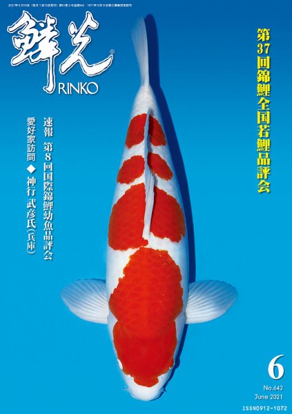 鱗光 2021年05月15日発売号 表紙