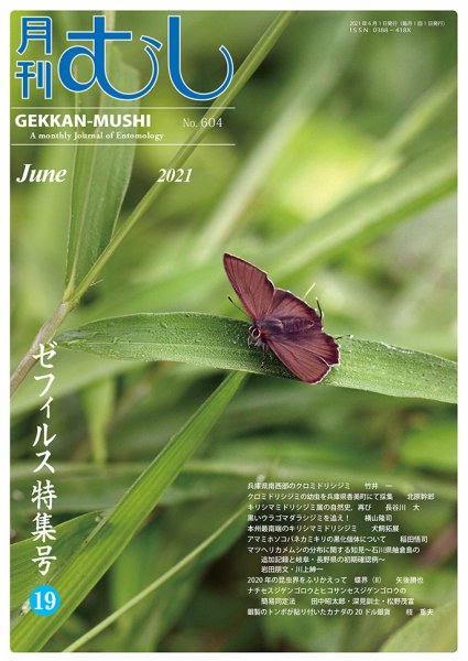 月刊むし 604 (発売日2021年05月20日) 表紙