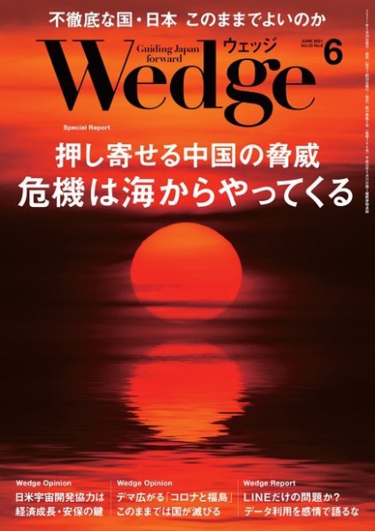 Wedge（ウェッジ） 2021年6月号 (発売日2021年05月20日) 表紙