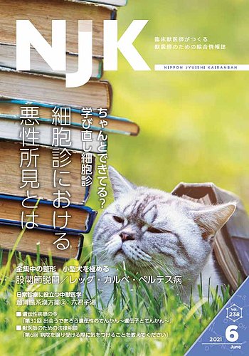 Njk Vol 238 発売日21年06月01日 雑誌 定期購読の予約はfujisan