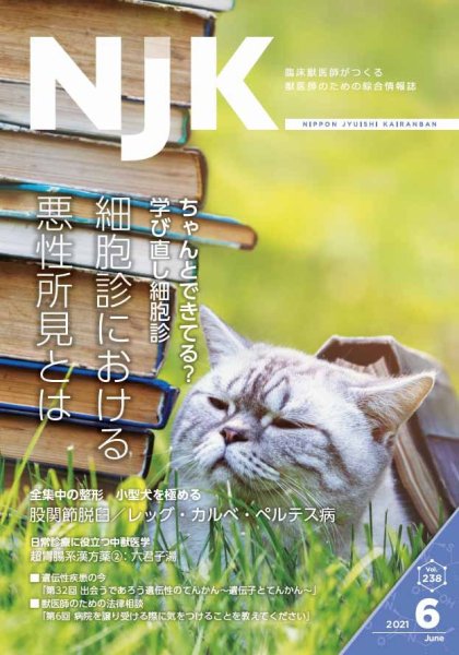 NJK Vol.238 (発売日2021年06月01日) 表紙