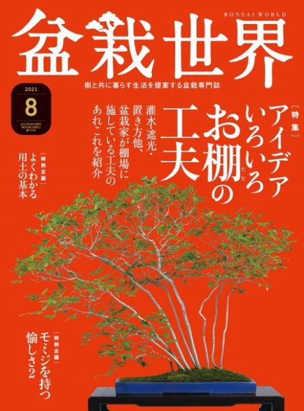 盆栽世界 2021年8月号 (発売日2021年07月02日) 表紙