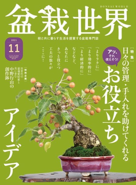 盆栽世界 2021年11月号 (発売日2021年10月04日) 表紙