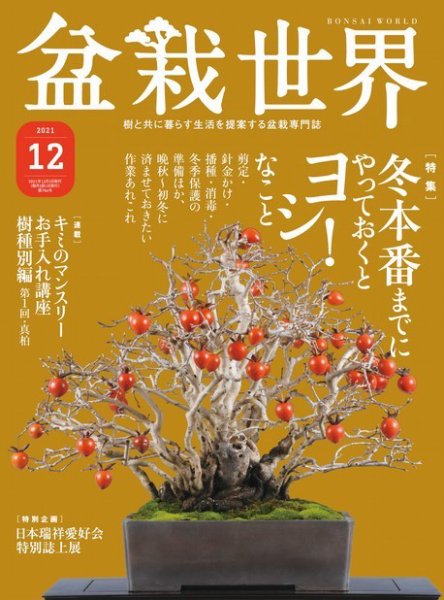 盆栽世界 2021年12月号 (発売日2021年11月04日) 表紙