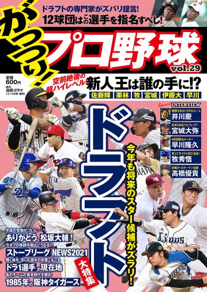 がっつりプロ野球 No.29 (発売日2021年09月29日) 表紙