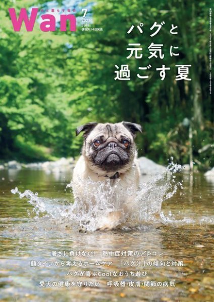 wan（わん） 2021年7月号 (発売日2021年06月14日) 表紙