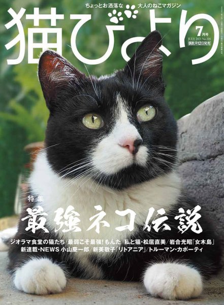猫びより 猫びより vol.118 (発売日2021年06月11日) 表紙