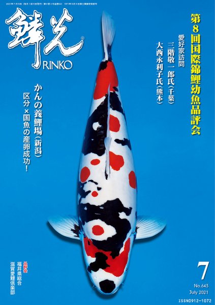 鱗光 2021年06月15日発売号 表紙