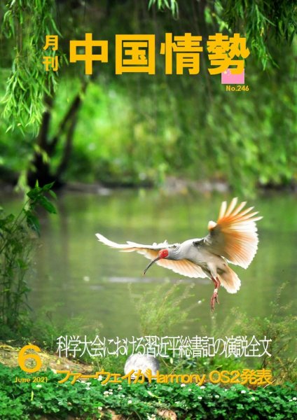 月刊中国情勢 No.246 (発売日2021年06月10日) 表紙