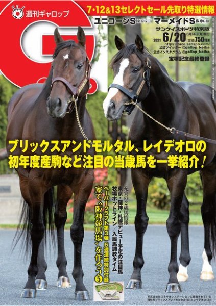 週刊Gallop（ギャロップ） 2021年6月20日号 (発売日2021年06月15日) 表紙