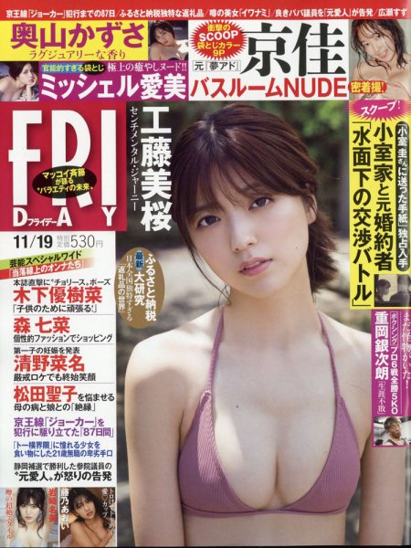 FRIDAY（フライデー） 2021年11/19号 (発売日2021年11月05日) 表紙