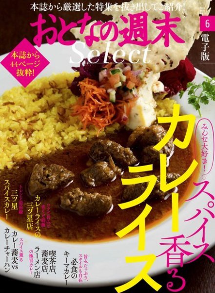 おとなの週末セレクト 「スパイス香る カレーライス」〈２０２１年６月号〉 (発売日2021年06月15日) 表紙