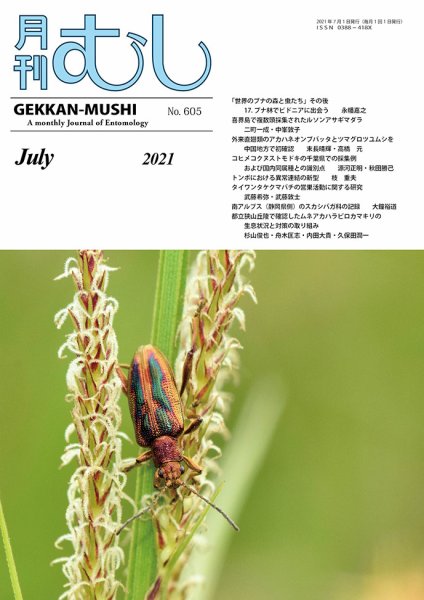 月刊むし 605 (発売日2021年06月20日) 表紙