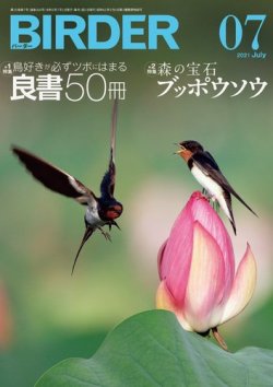 BIRDER（バーダー） 2021年7月号 (発売日2021年06月16日) 表紙