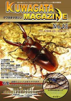 くわがたマガジン 43号 Dvd付き 発売日08年09月30日 雑誌 定期購読の予約はfujisan