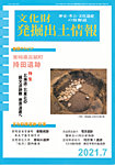 文化財発掘出土情報の表紙