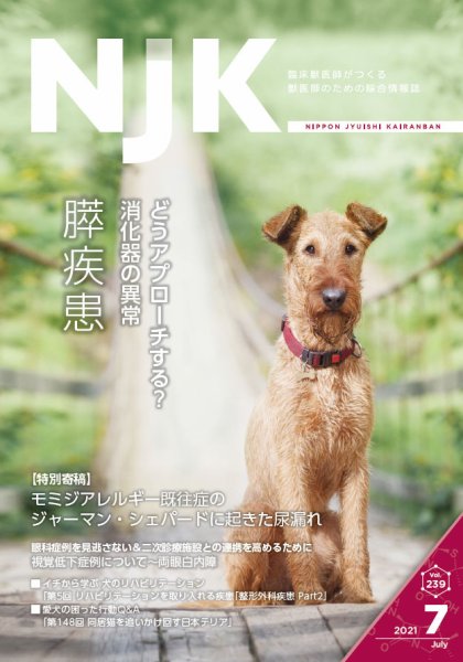 NJK Vol.239 (発売日2021年07月01日) 表紙