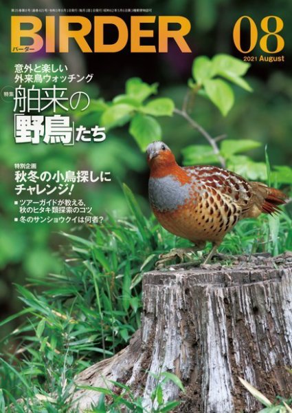 BIRDER（バーダー） 2021年8月号 (発売日2021年07月16日) 表紙