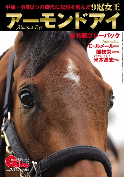 【現地直接引取のみ】週刊Gallopギャロップ 1993年〜1997年計192冊 週刊Gallop（ギャロップ） 臨時増刊 9冠女王 アーモンドアイ 2021年01